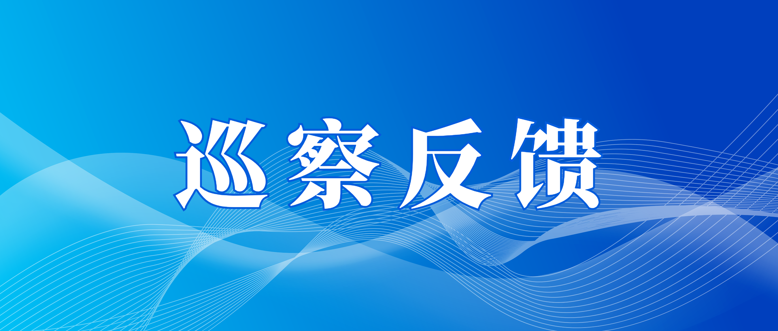 市国资委党委第三巡察组向和记AG资本党总支反馈巡察情况